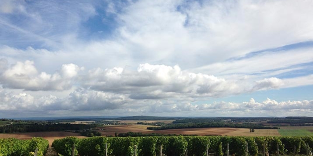 view over Domaine Villebois and Loire Valley