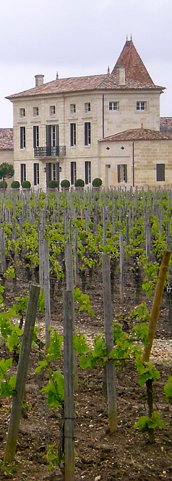 DiscoverVin-grape varities-chateau with grape vines